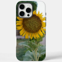 Sunflower Art Print