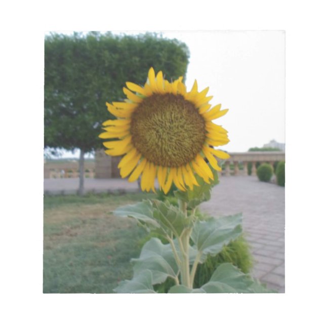 Sunflower Art Print Notepad (Front)