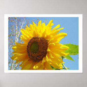Sunflower art prints Bright Summer Yellow Floral