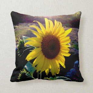 Sunflower at Sunset --- Cushion