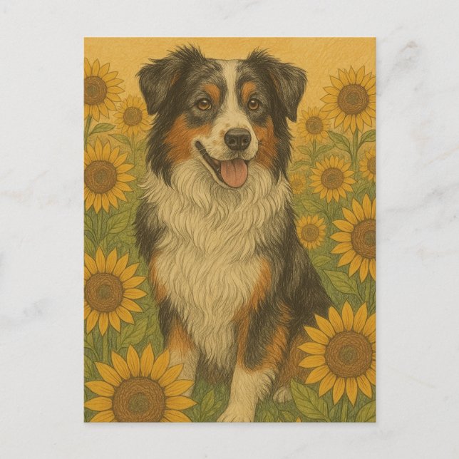 Sunflower Australian Shepherd                      Postcard (Front)