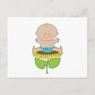 Sunflower Baby Boy Postcard