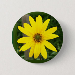 Sunflower Badge or Button