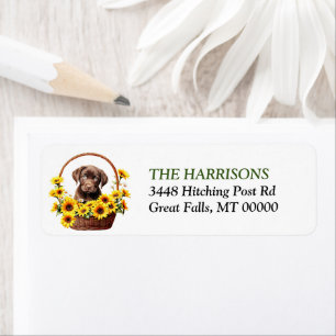 Sunflower Basket Chocolate Lab Retriever Puppy
