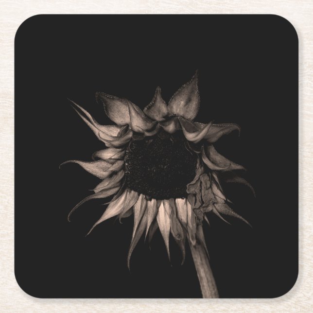 Sunflower - Beautiful Unique Cool Fine Art Square Paper Coaster (Front)
