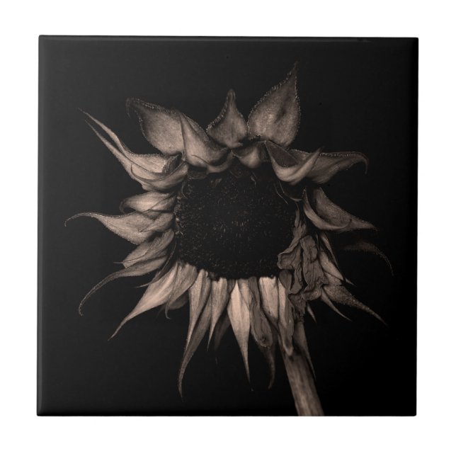 Sunflower - Beautiful Unique Cool Fine Art Tile (Front)