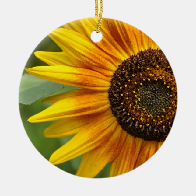 Sunflower beauty            ceramic tree decoration (Front)