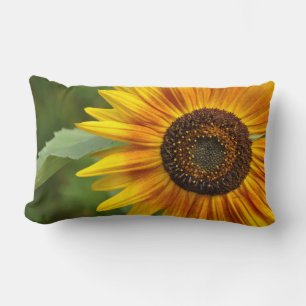 Sunflower beauty lumbar cushion