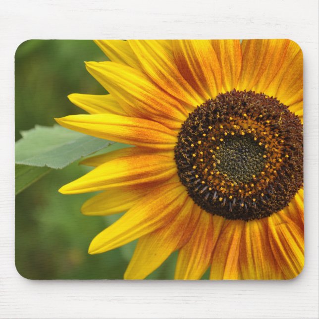 Sunflower beauty          mouse pad (Front)