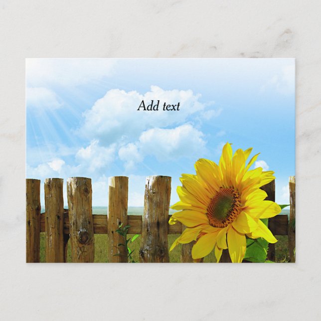 Sunflower Beauty Template Postcard (Front)