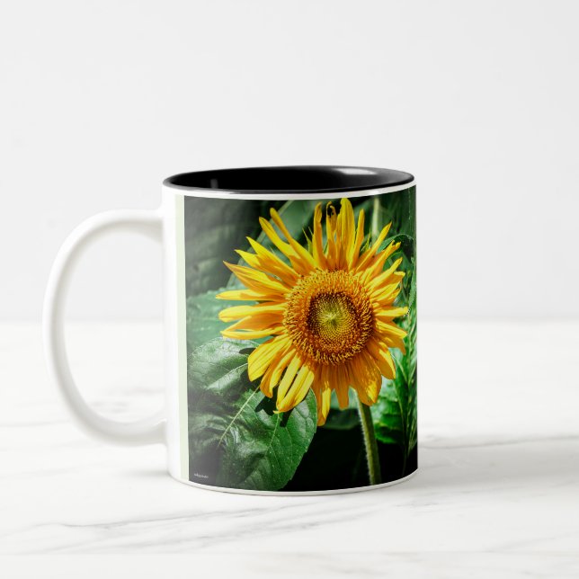 Sunflower Beauty Two-Tone Coffee Mug (Left)