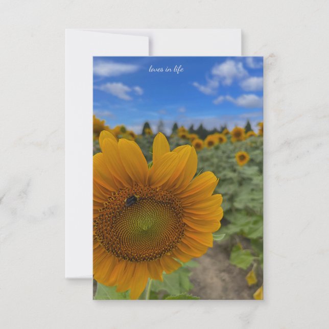 Sunflower, Bee & Blues Skies Card (Front)