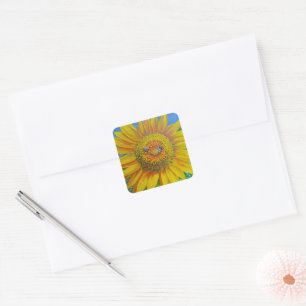 Sunflower Bees Stickers