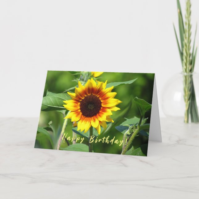 Sunflower Birthday Greeting Card (Front)