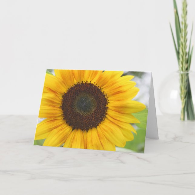 Sunflower Blank  Card (Front)