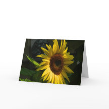 Sunflower Blank Greeting Card