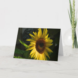 Sunflower Blank Greeting Card