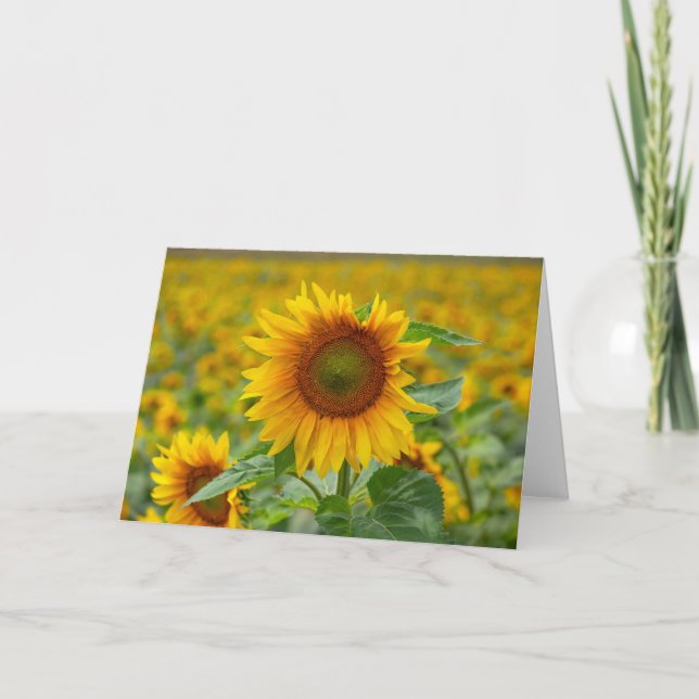 Sunflower Blank Note Card (Front)