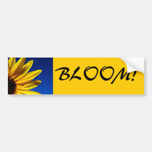 Sunflower Bloom Bumper Sticker