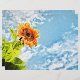 Sunflower Blue Sky And Clouds Decoupage Fine Art
