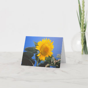 Sunflower Blue Sky Card