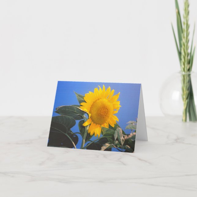 Sunflower Blue Sky Card (Front)
