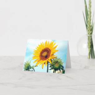 Sunflower Blue Sky Card
