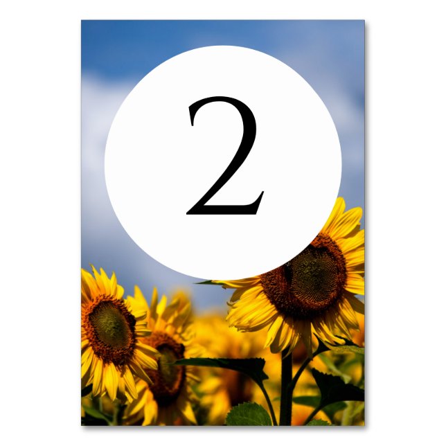 Sunflower Blue Sky Rustic Wedding Table Number (Front)