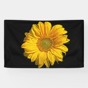 Sunflower bnrcn banner
