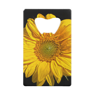Sunflower bocn