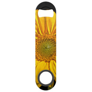 Sunflower bocnm