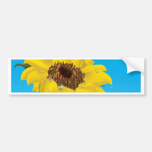 Sunflower Bumper Sticker
