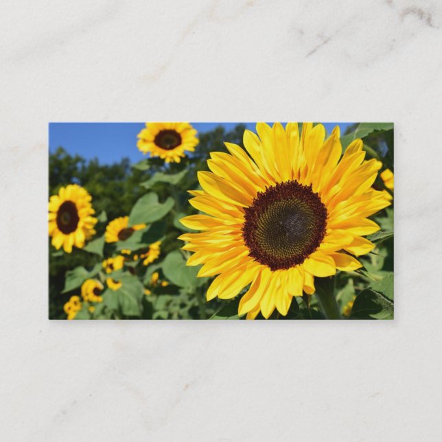 Sunflower Business Cards (Front)