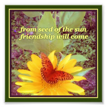 Sunflower Butterfly Friendship Seeds
