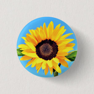 Sunflower Button