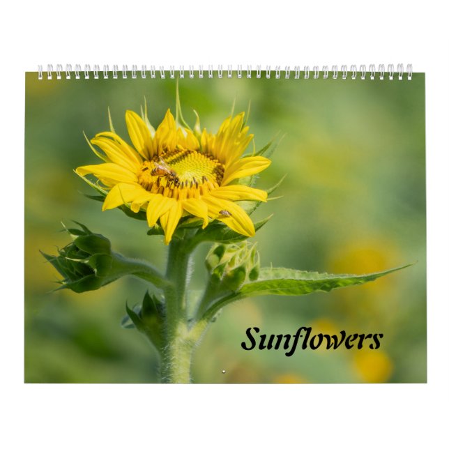 Sunflower Calendar (Cover)