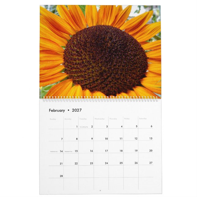 Sunflower calendar - Sunflowers of the month 2020 (Feb 2027)