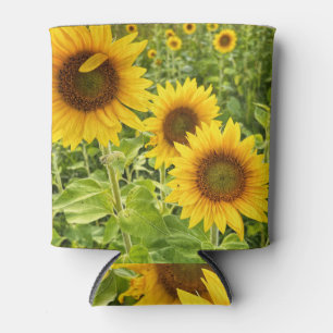 Sunflower can cooler