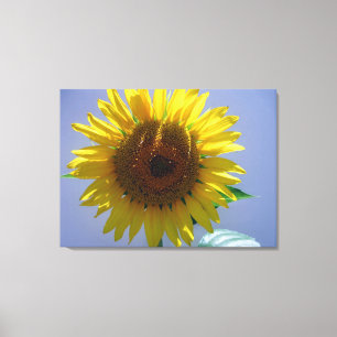 Sunflower Canvas