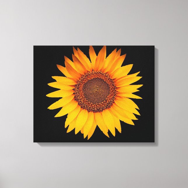 Sunflower Canvas Print (Front)