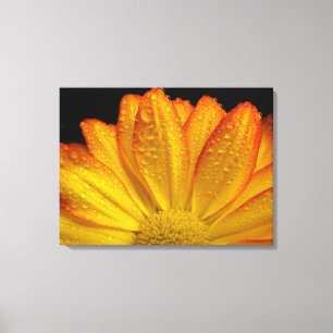 Sunflower Canvas Print