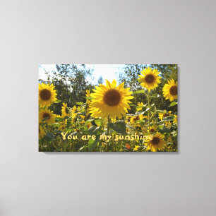 Sunflower canvas print