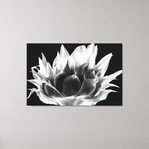 Sunflower canvas print