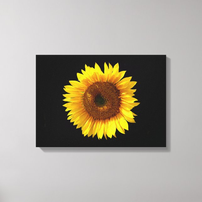 Sunflower Canvas Print (Front)