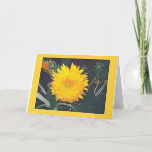 SUNFLOWER CARD
