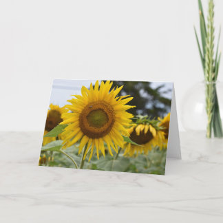 Sunflower card