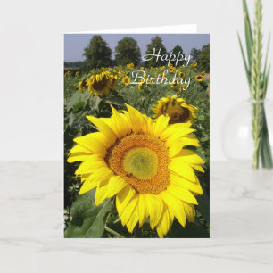 Sunflower Card