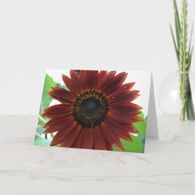 Sunflower Card (Front)