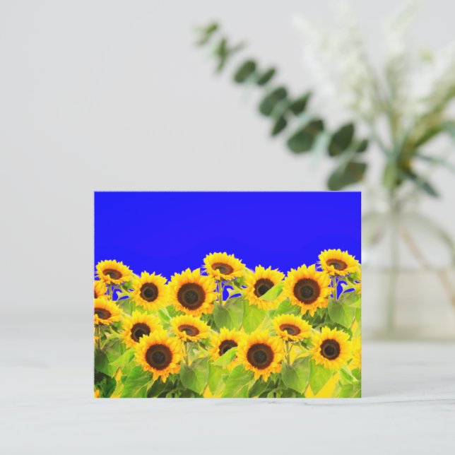 Sunflower Card Ukrainian Flag Colours - Freedom (Standing Front)