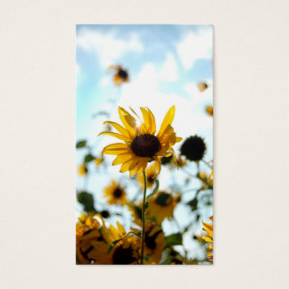 Sunflower Cards